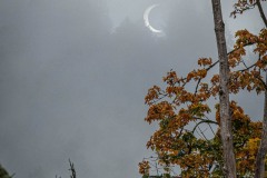 Solar eclipse taken in Goldstream Park, Early morning