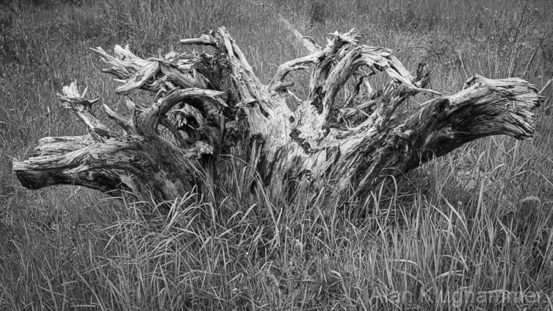 AlanKlughammer.com_20250510-_AZ73253