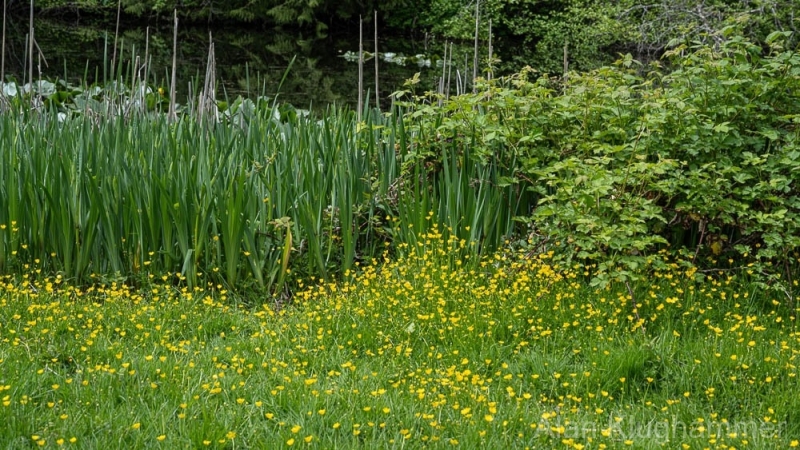 AlanKlughammer.com_20250510-_AZ73255