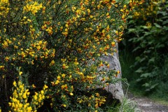 AlanKlughammer.com_20250510-_AZ73185