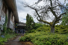 AlanKlughammer.com_20250510-_AZ73196