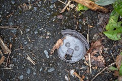 Litter-al Surprise