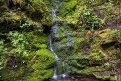 AlanKlughammer.com_20250510-_AZ73227