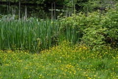 AlanKlughammer.com_20250510-_AZ73255