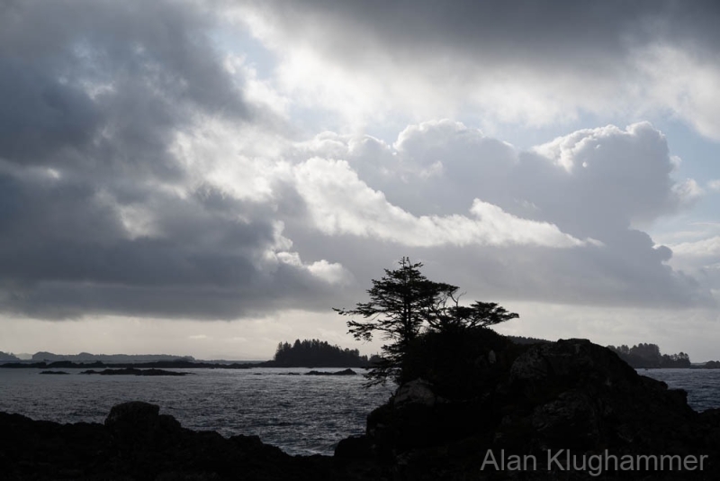 AlanKlughammer.com_20250331-_AZ71586