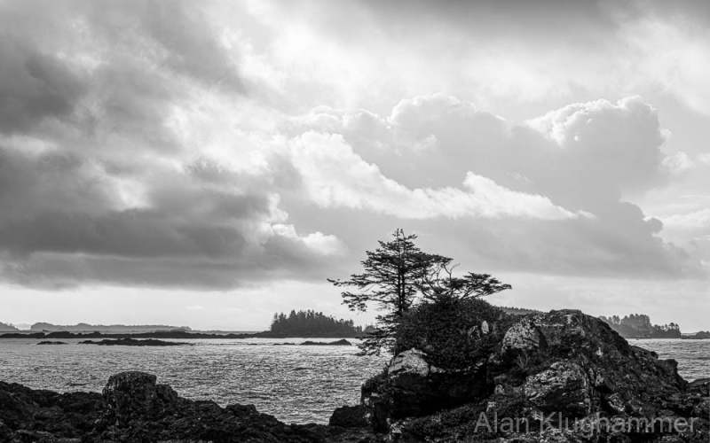 AlanKlughammer.com_20250331-_AZ71588-HDR