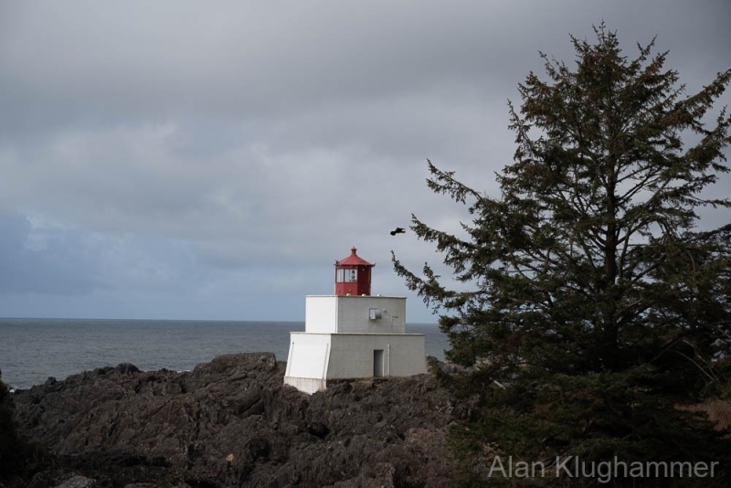 AlanKlughammer.com_20250331-_AZ71656-2