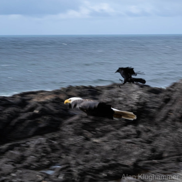 AlanKlughammer.com_20250331-_AZ71659