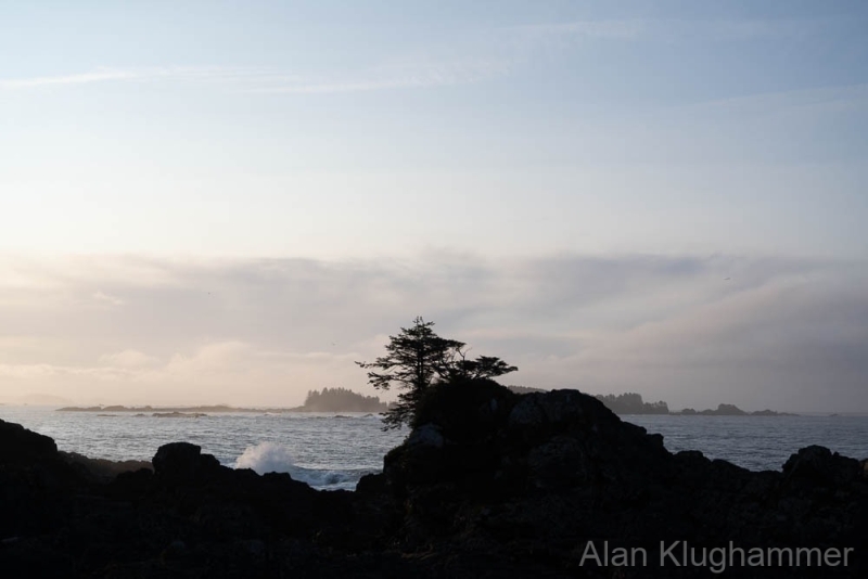 AlanKlughammer.com_20250401-_AZ71809