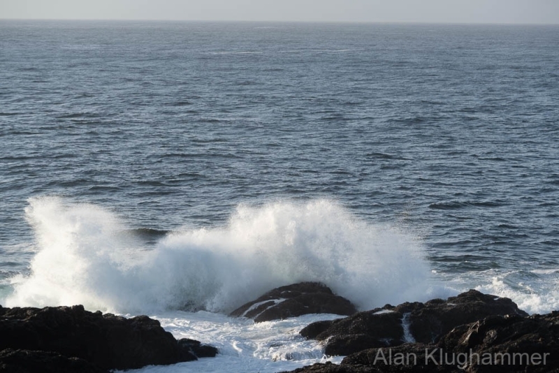 AlanKlughammer.com_20250401-_AZ72153