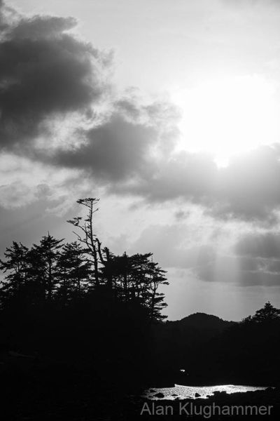 AlanKlughammer.com_20250401-_AZ72462