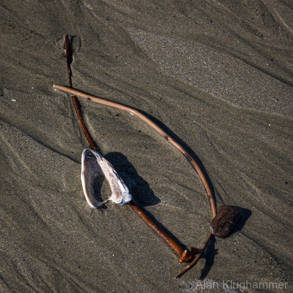 AlanKlughammer.com_20250402-_AZ72615
