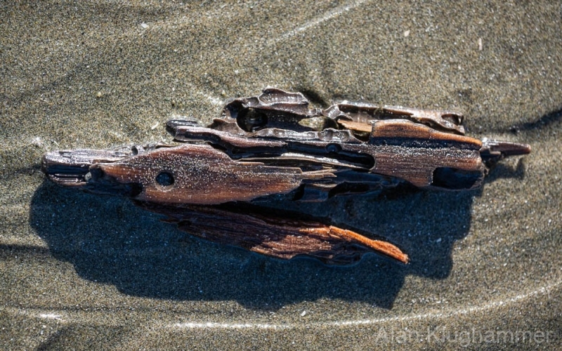 AlanKlughammer.com_20250402-_AZ72616