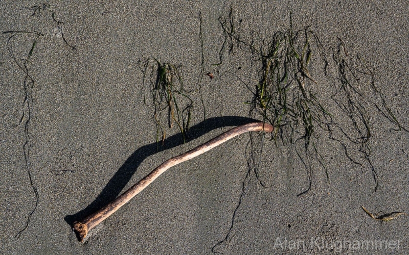 AlanKlughammer.com_20250402-_AZ72633