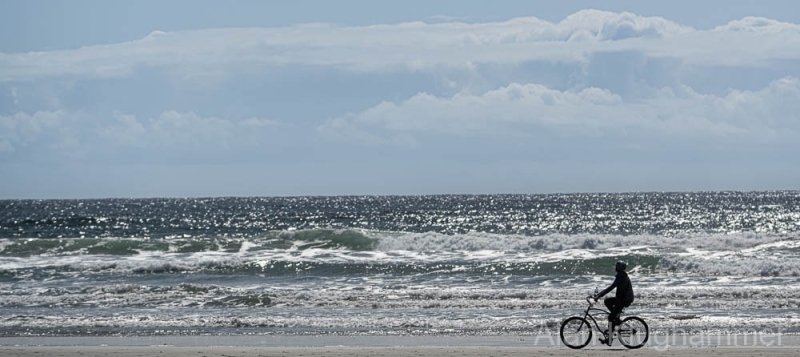 AlanKlughammer.com_20250402-_AZ72654
