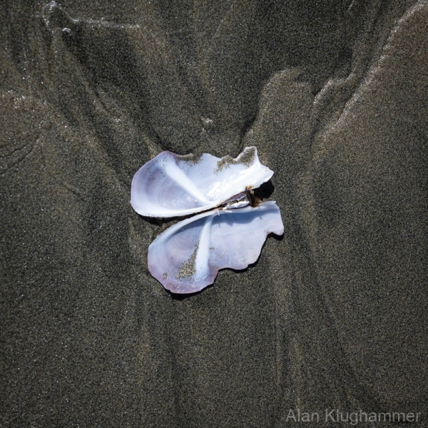 AlanKlughammer.com_20250402-_AZ72669