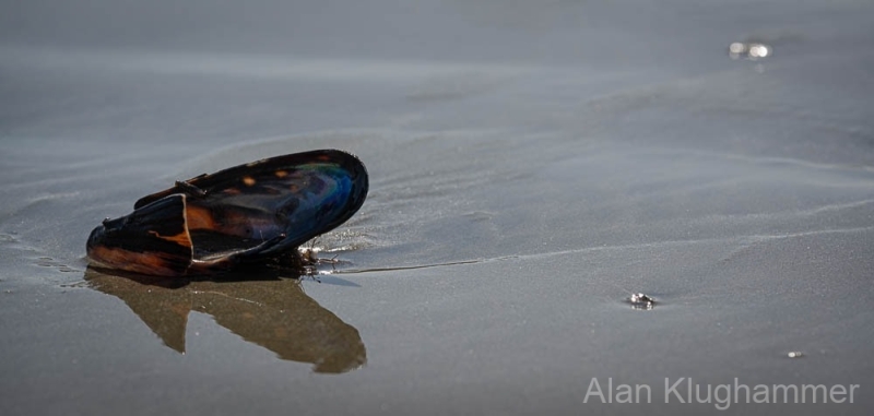 AlanKlughammer.com_20250402-_AZ72688
