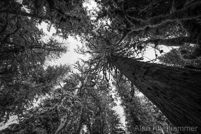 AlanKlughammer.com_20250404-_AZ72839