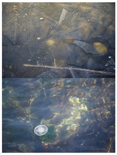 Diptych