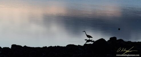 Painters Lodge, Campbell River